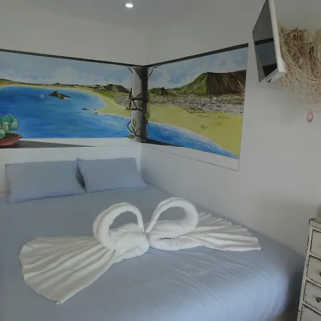 Akisol Iii * Сесимбра